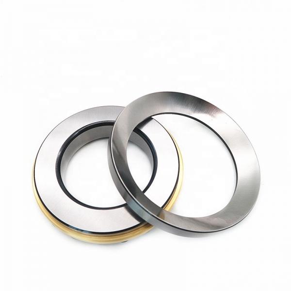 XSU140544 INA Palletizer Slewing ring #1 image